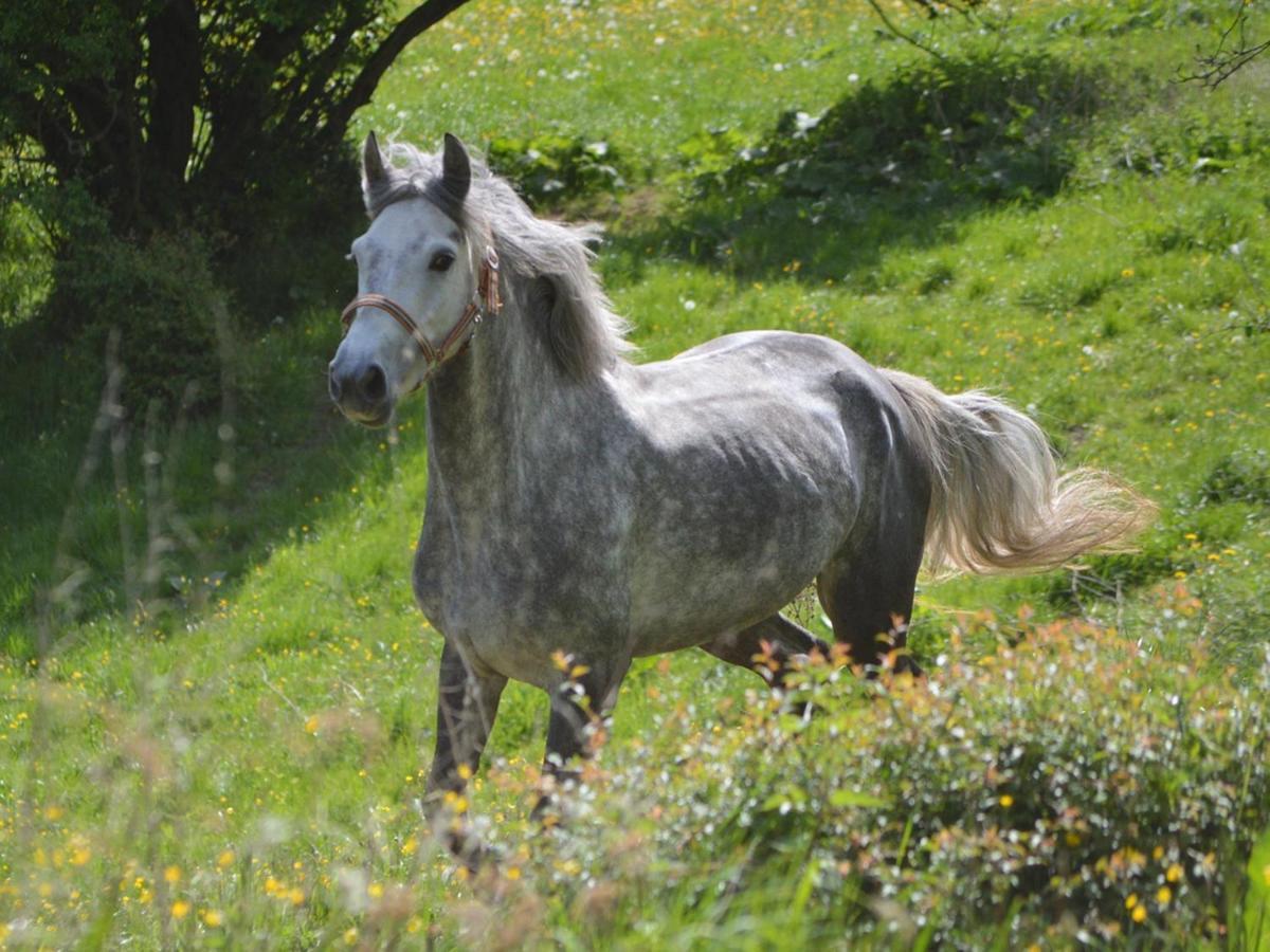 Gefildehof Goepel Διαμέρισμα Άιζεναχ Εξωτερικό φωτογραφία